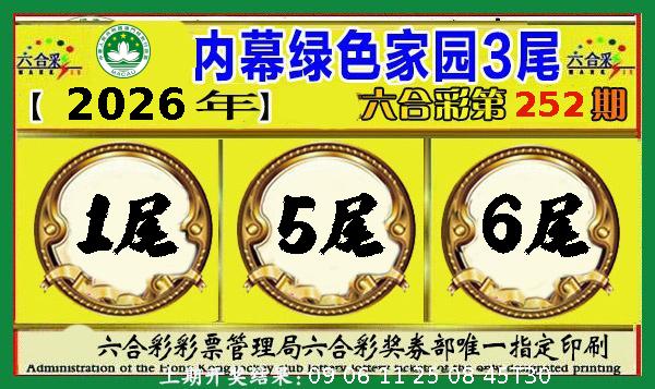 ����Ŵ�